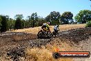 Champions Ride Day MotorX Broadford 27 01 2014 - CR1_1377