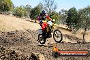 Champions Ride Day MotorX Broadford 27 01 2014 - CR1_1379