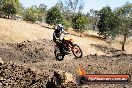 Champions Ride Day MotorX Broadford 27 01 2014 - CR1_1498