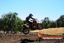 Champions Ride Day MotorX Broadford 27 01 2014 - CR1_1503