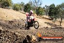 Champions Ride Day MotorX Broadford 27 01 2014 - CR1_1513