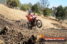 Champions Ride Day MotorX Broadford 27 01 2014 - CR1_1554