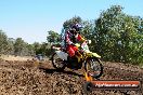 Champions Ride Day MotorX Broadford 27 01 2014 - CR1_1570