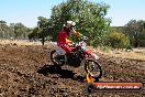 Champions Ride Day MotorX Broadford 27 01 2014 - CR1_1626