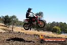 Champions Ride Day MotorX Broadford 27 01 2014 - CR1_1791