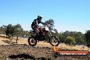 Champions Ride Day MotorX Broadford 27 01 2014 - CR1_1801