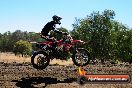 Champions Ride Day MotorX Broadford 27 01 2014 - CR1_1984