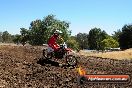 Champions Ride Day MotorX Broadford 27 01 2014 - CR1_2050