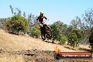 Champions Ride Day MotorX Broadford 27 01 2014 - CR1_2092