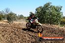 Champions Ride Day MotorX Broadford 27 01 2014 - CR1_2096