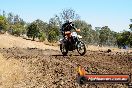 Champions Ride Day MotorX Broadford 27 01 2014 - CR1_2109