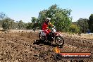 Champions Ride Day MotorX Broadford 27 01 2014 - CR1_2169