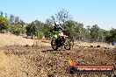 Champions Ride Day MotorX Broadford 27 01 2014 - CR1_2187