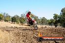 Champions Ride Day MotorX Broadford 27 01 2014 - CR1_2271