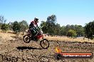 Champions Ride Day MotorX Broadford 27 01 2014 - CR1_2307