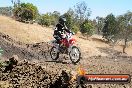 Champions Ride Day MotorX Broadford 27 01 2014 - CR1_2316