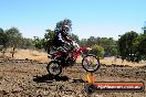 Champions Ride Day MotorX Broadford 27 01 2014 - CR1_2335