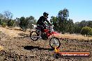 Champions Ride Day MotorX Broadford 27 01 2014 - CR1_2361