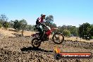 Champions Ride Day MotorX Broadford 27 01 2014 - CR1_2365