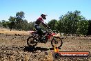 Champions Ride Day MotorX Broadford 27 01 2014 - CR1_2366