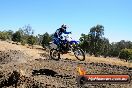 Champions Ride Day MotorX Broadford 27 01 2014 - CR1_2377