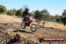 Champions Ride Day MotorX Broadford 27 01 2014 - CR1_2404
