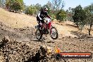 Champions Ride Day MotorX Broadford 27 01 2014 - CR1_2408