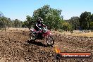 Champions Ride Day MotorX Broadford 27 01 2014 - CR1_2434