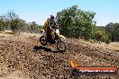 Champions Ride Day MotorX Broadford 27 01 2014 - CR1_2442