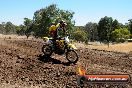 Champions Ride Day MotorX Broadford 27 01 2014 - CR1_2443