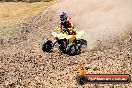 Champions Ride Day MotorX Broadford 27 01 2014 - CR1_2613