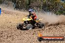 Champions Ride Day MotorX Broadford 27 01 2014 - CR1_2657