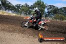 MRMC MotorX Ride Day Broadford 1 of 2 parts 19 01 2014 - 8CR_9020