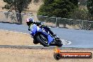 Champions Ride Day Broadford 1 of 2 parts 01 03 2014 - CR2_8746