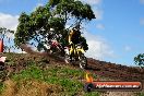 Champions Ride Day MotorX Wonthaggi 2 of 2 parts 06 04 2014 - CR6_6363