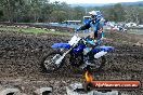 Champions Ride Day MotorX Broadford 31 05 2014 - CR9_3307