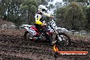 Champions Ride Day MotorX Broadford 31 05 2014 - CR9_3325