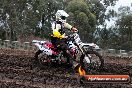 Champions Ride Day MotorX Broadford 31 05 2014 - CR9_3360