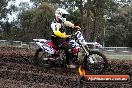 Champions Ride Day MotorX Broadford 31 05 2014 - CR9_3361