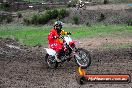 Champions Ride Day MotorX Broadford 31 05 2014 - CR9_3499