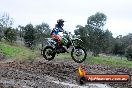 Champions Ride Day MotorX Broadford 31 05 2014 - CR9_3711