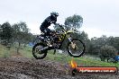 Champions Ride Day MotorX Broadford 31 05 2014 - CR9_3871