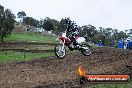 Champions Ride Day MotorX Broadford 31 05 2014 - CR9_3903