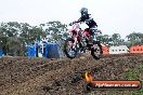 Champions Ride Day MotorX Broadford 31 05 2014 - CR9_3954
