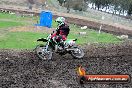 Champions Ride Day MotorX Broadford 31 05 2014 - CR9_3981