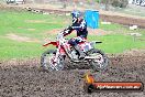 Champions Ride Day MotorX Broadford 31 05 2014 - CR9_4261