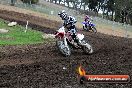 Champions Ride Day MotorX Broadford 31 05 2014 - CR9_4290