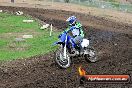 Champions Ride Day MotorX Broadford 31 05 2014 - CR9_4423