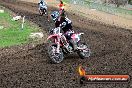 Champions Ride Day MotorX Broadford 31 05 2014 - CR9_4529