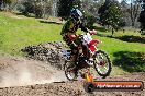 Champions Ride Day MotorX Broadford 07 09 2014 - SH4_7770